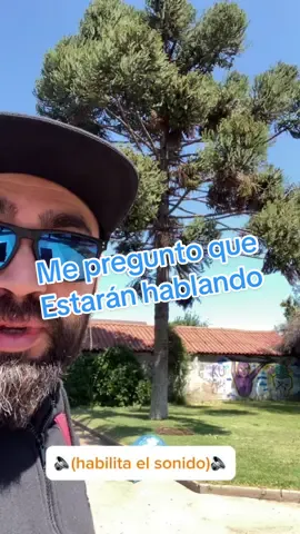 Me encanta soda estereo. #cotorras #loros #argentina #cotorrasargentinas #tano      