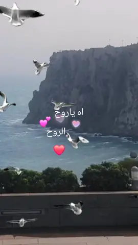#❤️💞💝💖🫶🫶