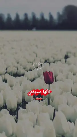 @اެݪــࢪ࣪ينهۃّ🤎🗞بنت قلبي🫶🏻♥🫂  #ايينعم😌🤏 #هاشـمـيـهہ515 #الدعم_في_ذمه_الله  #اعملولي_اعادة_نشر😒 