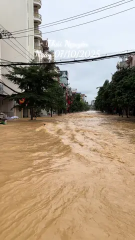 Nhớ mặt nhé #MatMo 😤