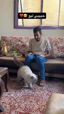#شاركوا_ليصل_للجميع 