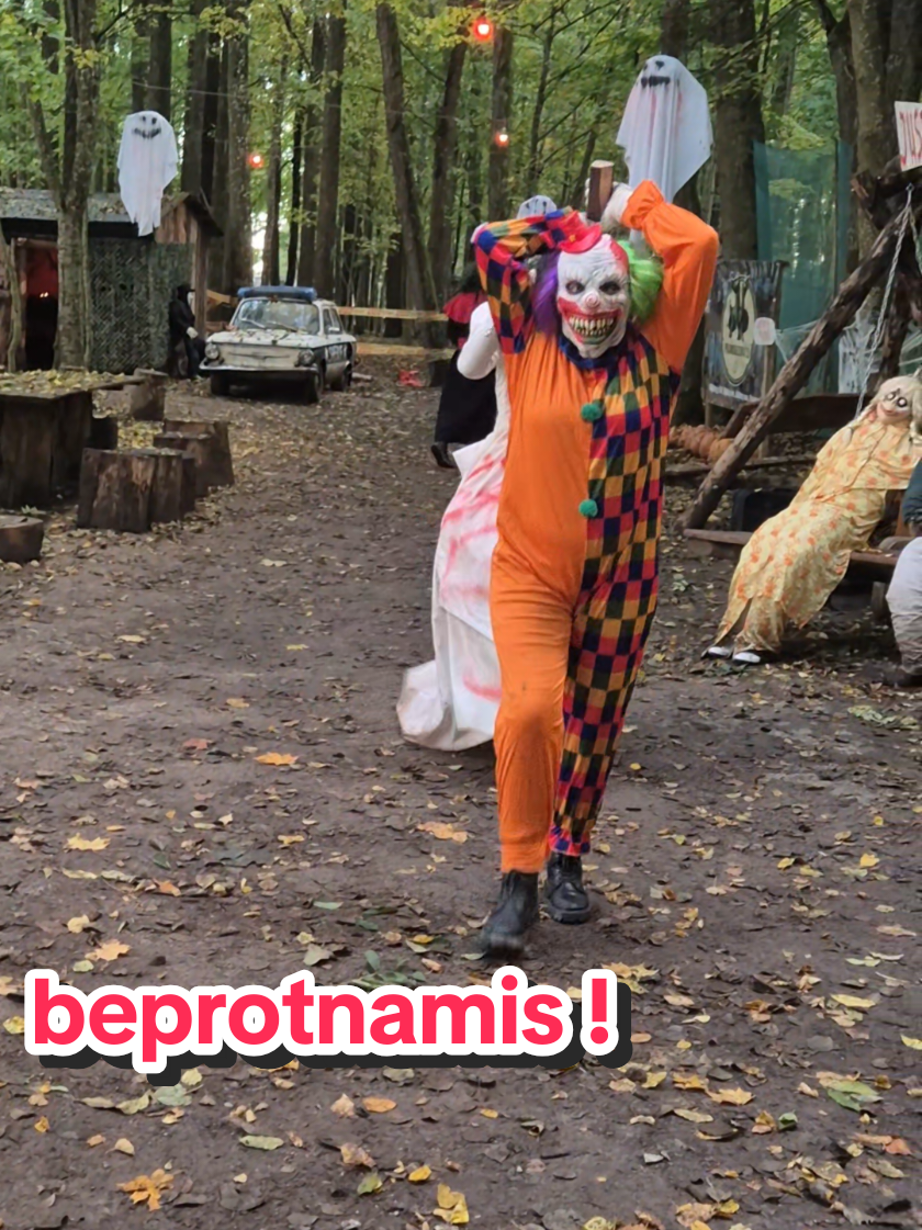 Halloweeno belaukiant :D #halloween #horror #šmėkla #ragana #moliugai 