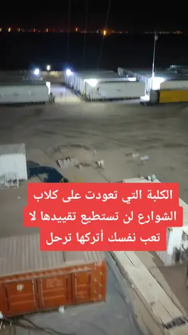 #يوميات #هيه #حضوض 