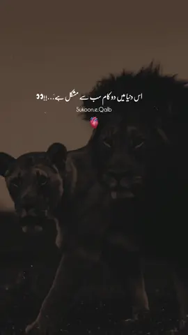 Is Duniya Mai Do Kam Sab Sa Muskil Hai!♥️🙌🏻✨ #fyp #tiktok #viralvideos #foryou #foryoupageofficiall 