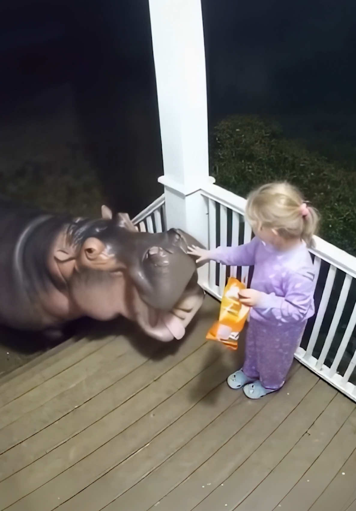 Caught her trying to feed a wild hippo 😳🦛 #cctv #hippo 