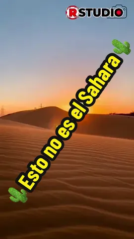Esto no es el Sahara… 🌵 ¡es Venezuela! 🇻🇪 Los Médanos de Coro, en el estado Falcón, un desierto dorado que se mueve con el viento y brilla bajo el sol del Caribe. ☀️ Un lugar mágico donde la arena cuenta historias y cada duna cambia de forma cada día. Si aún no conoces este paraíso, anótalo en tu lista… porque aquí, la naturaleza habla con su propio idioma.💫 #MedanosDeCoro #Venezuela #Falcón #TurismoVenezolano #ViajaVenezuela @Corfaltur 