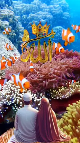 ইসলামিক ভিডিও সবাই সাপোর্ট করবেন #trending #viraltiktok #fouryou 