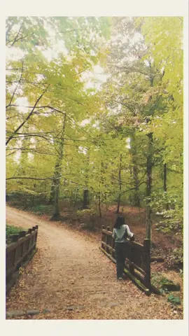 💛