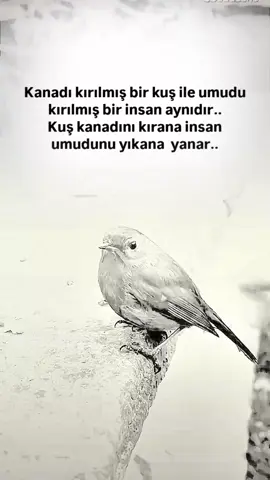 #fyphiraaaaaaa #la ilahe illallah Muhammeden rasulalah 🤲🏻☝🏻