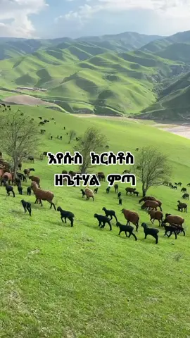 #fypシ #fyp #CapCut #ፍቅር➻ብቻ🖇ፍቅር➻ብቻ❤🥀🔐 #creatorsearchinsights 