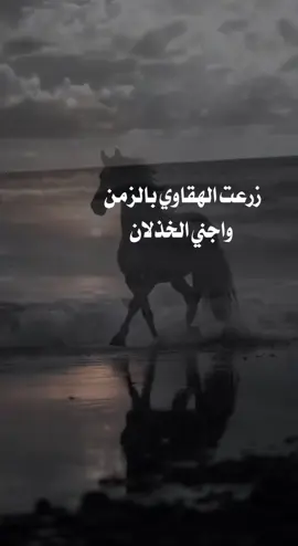 #bntroq111🇸🇦511 #اكسبلورexplor 