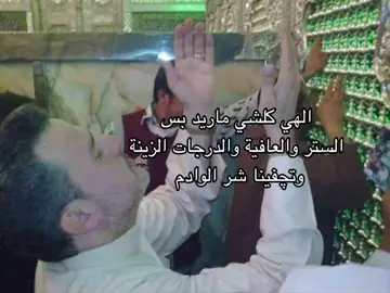 #العجل_يامهدي🤍 #يافاطمه_الزهراء #الشعب_الصيني_ماله_حل 