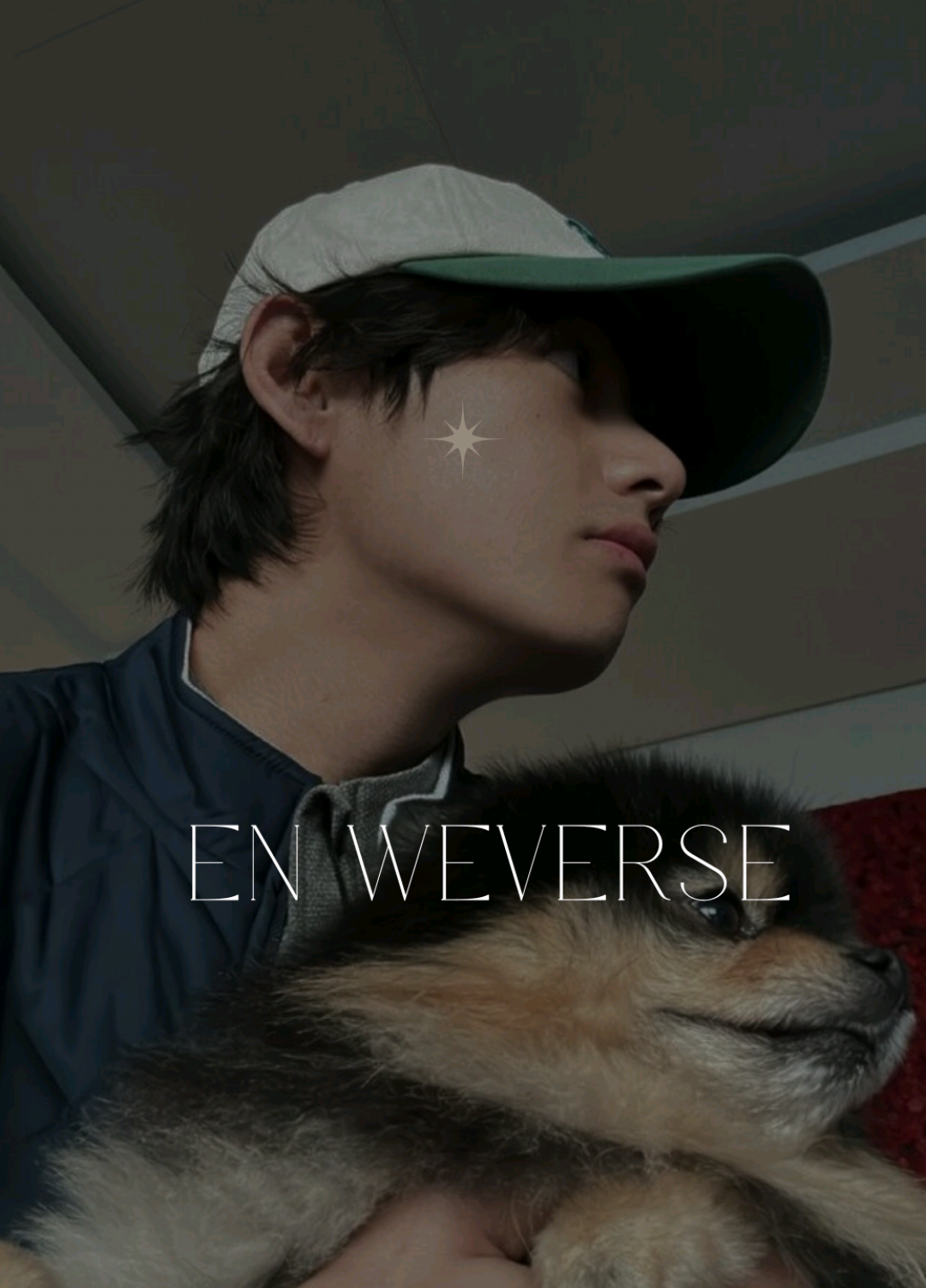 #greenscreen Taehyung en weverse y en Istagram 💜💜💜💜🐯🐻#buetterfamily💜💜💜💜💜☆♡ #fypviraltiktok🖤シ゚☆♡ 