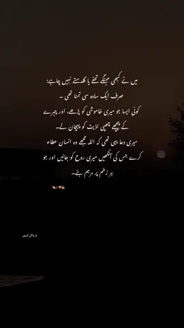 Uff Yaar Ye Sound…💔💊 #aliwrites_90 #foryou #foryoupage #fyb #viral_video 