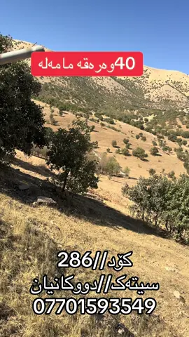 #شای_سیتەک #shaysitak #realestate #sulaymaniyah #foryoupage 