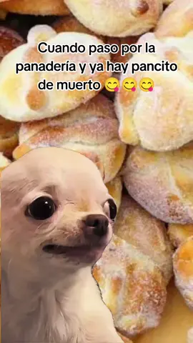 Delicioso😋😋😋 #Meme #MemeCut #CapCut #diademuertos #pandemuerto 