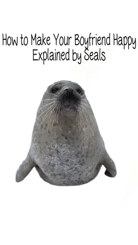 How to make your boyfriend happy explained by seals #seal 