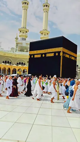 madinah munawra Madinah, the City of the Prophet, shines bright A beacon of faith, where Islam's history takes flight The Masjid an-Nabawi, a mosque of grandeur and might Where the Prophet Muhammad's tomb is a sacred sight The city's streets are lined with date palms, green and tall A tranquil oasis, where faith and peace enthrall Madinah's rich history and heritage are palpable and real realMadinah's rich history and heritage are palpable and real A place where Muslims from all over the world come to feel The city's warm hospitality and welcoming smile Make it a place of pilgrimage, worth traveling a long while #plztiktokteamdontunderviewmyvideos #foryoupage