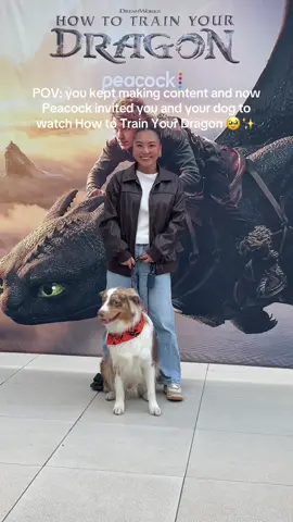 It might not seem like a big deal to you, but as a small creator, getting invited to brand events especially ones where I can bring my baby means so much! 🥹🤎 It reminds me why I started and motivates me to keep going ✨ Thank you for having us!!  #howtotrainyourdragon streaming now on @Peacock ☺️🫶 #la #australianshepherd #doginfluencer #peacock