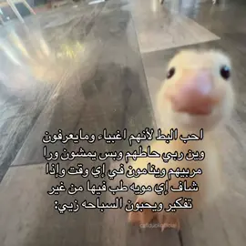 #مالي_خلق_احط_هاشتاقات🧢 #شعب_الصيني_ماله_حل😂😂 #CapCut #fyp #اكسبلورexplore 