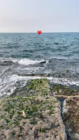 #explore #foryou #tiktok #fypage #fyppppppppppppppppppppppp #october #fypシ゚ #trending #viral #alex 