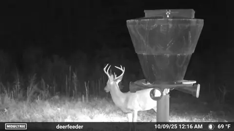 #deerseason  #hunting  #fup  #fyp  #foryoupage 