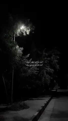 انت تدري  شكد احبك…………