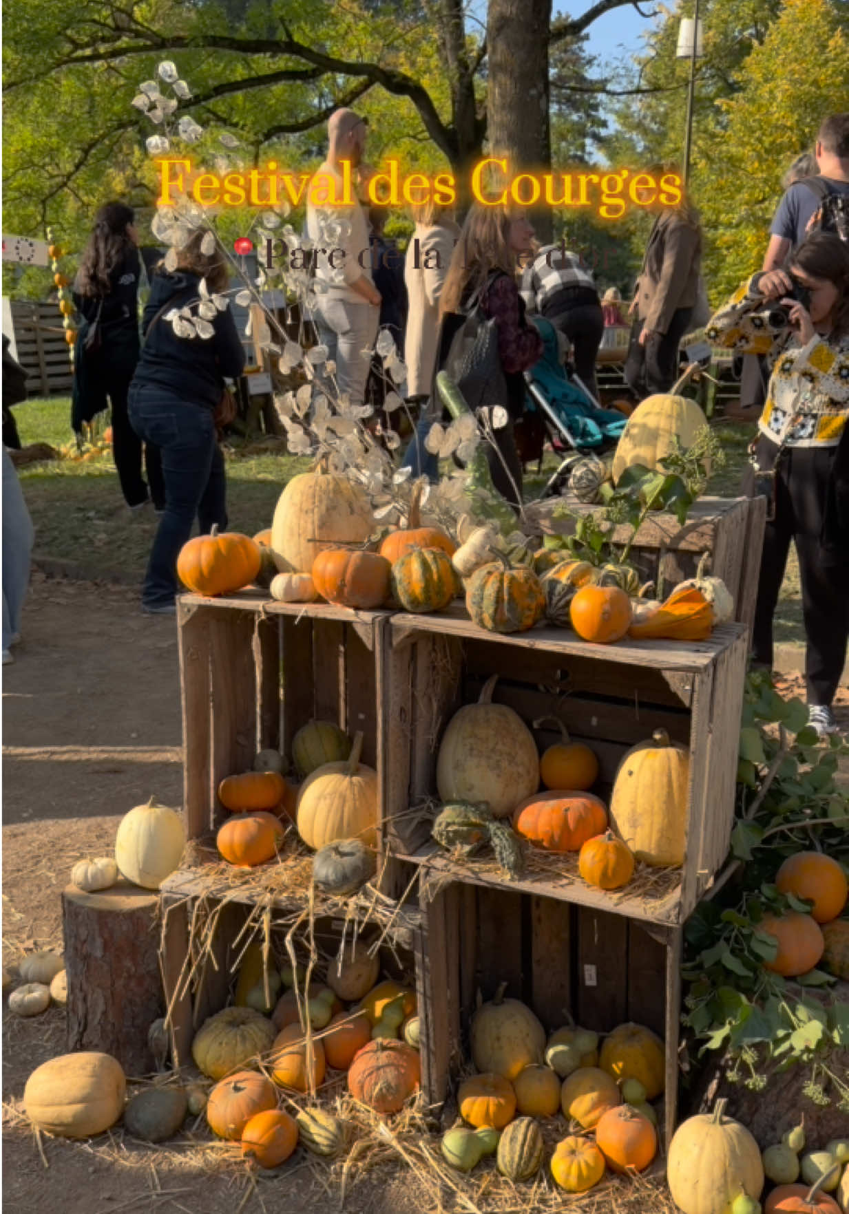 Très déçue cette année 😕 L’événement semble pensé uniquement pour les familles, et il y a beaucoup moins de déco que l’an dernier… dommage 🎃  #festivaldescourges #lyon #pumpkinpatch #fallvibe 
