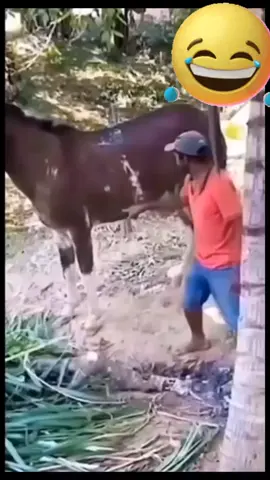 #fyp #tiktokviral #justforfun #viralvideo #fyppppppppppppppppppppppp 