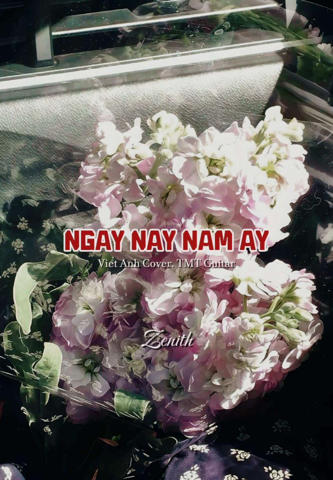 Mẫu #CapCut | Ngày Này Năm Ấy - Viet Anh Cover. TMT Guitar | #ngaynaynamay #zenith #capcutpioneer #pioneertemplate 