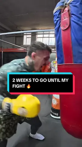2️⃣ Weeks To Go 👊 #UFC #fyp #viral #asmr #tomaspinall 