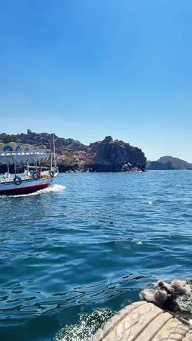 #aswan  #egypt  #egypt🇪🇬  #nile  #sea  #tiktok  #اسوان  #art  #video  بلدي  #الكينج   #nubian 