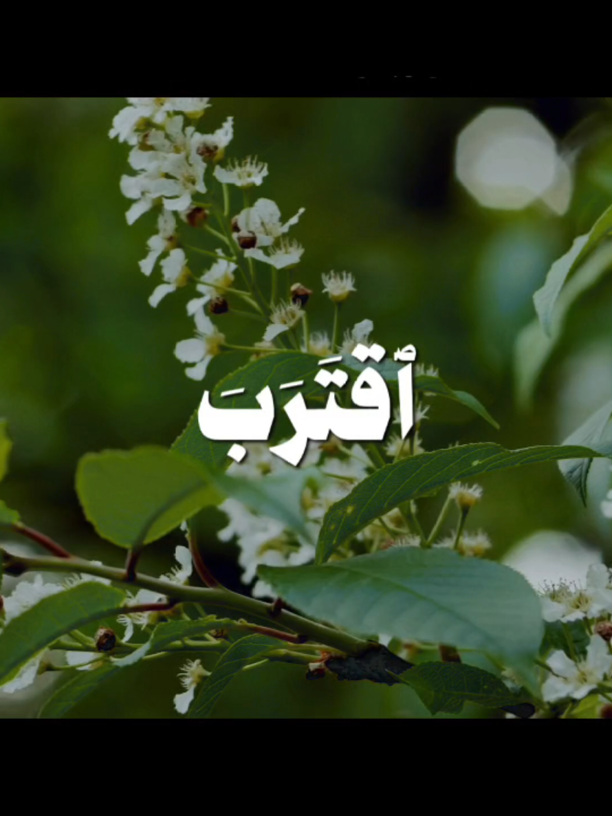 { اقْتَرَبَ لِلنَّاسِ حِسَابُهُمْ وَهُمْ فِي غَفْلَةٍ مُعْرِضُونَ } [سُورَةُ الأَنبِيَاءِ: ١] القارئ: محمد صديق المنشاوي  . . . #قرآن #quran #قران_كريم #المنشاوي #محمد_صديق_المنشاوي 