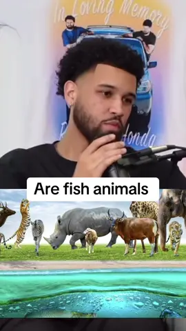Are fish considered to be animals #yskpodcast #youshouldknow #funny_video #fish 