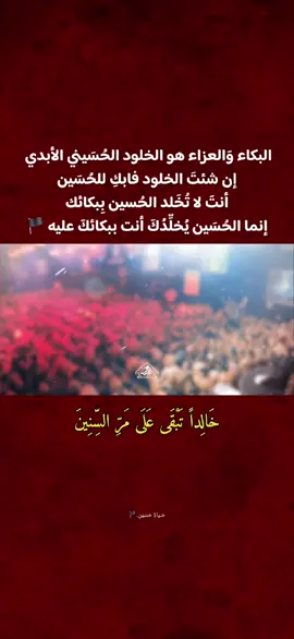 ثاري الهجر ذباح | سيد سلام الحسيني #سيد_سلام_الحسيني  #محمد_باقر_الخاقاني  #capcut 