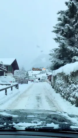 75 days 🎄#christmascountdown #christmastok #winterwonderland #homedecor #christmas2026 