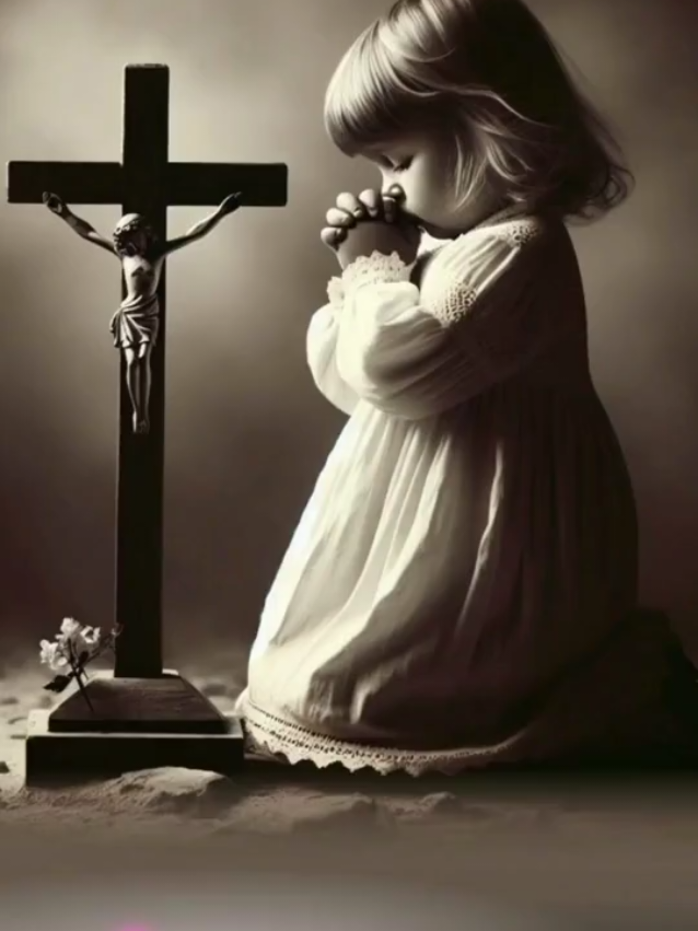 #creatorsearchinsights 