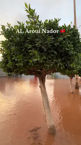 AL Aroui beach 😮‍💨 #nador #morocco🇲🇦 #rif #aroui 