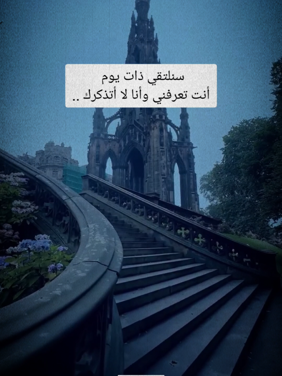 سنلتقي ذات يوم انت تعرفني وأنا لا اتذكرك #اقتباسات #vibes #عبارات 