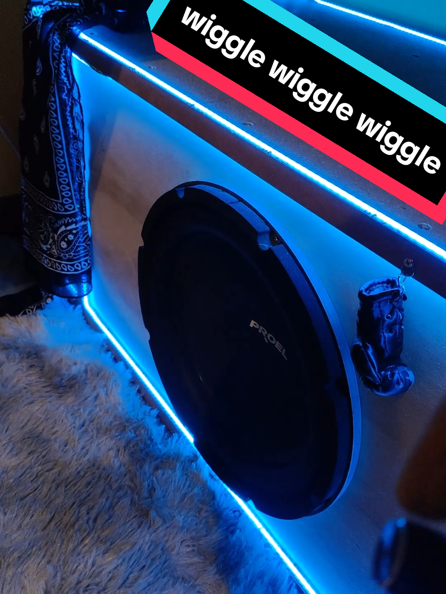wiggle wiggle wiggle🔊#bass #wiggle #jasonderulo #subwoofer #flex @alebrg012 @ChristoSmash 