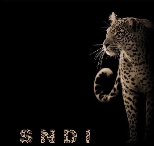 #tiger #tiktok #fypage #fy #fyppppppppppppppppppppppp 