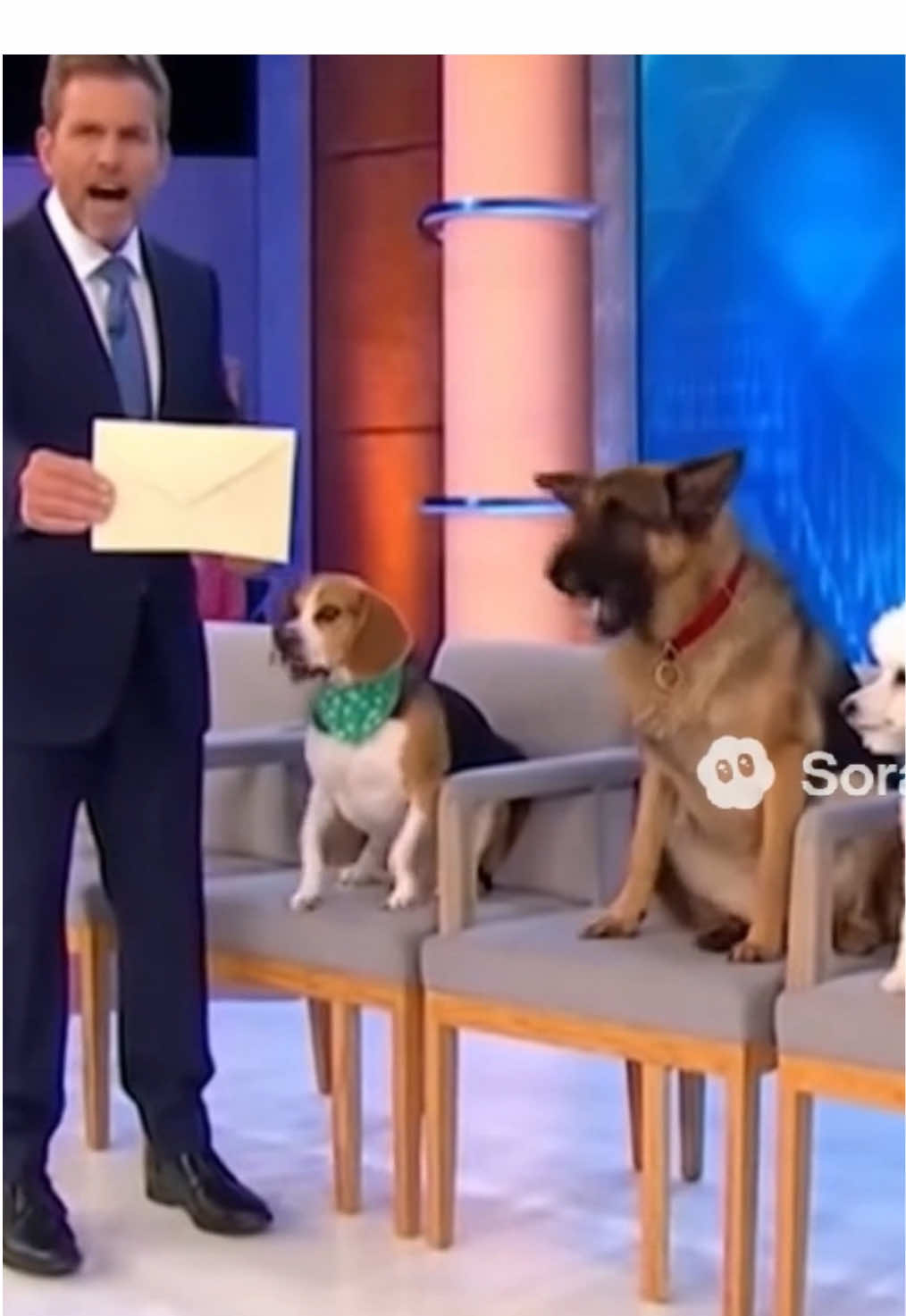 You are NOT the Father! #maury #fyp #fypシ #for 