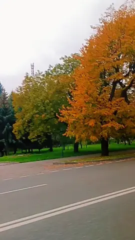 #😁😁😁#такиживём#интересное 