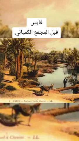 #قابس #المجمع_الكميائي_بقابس #واحة 