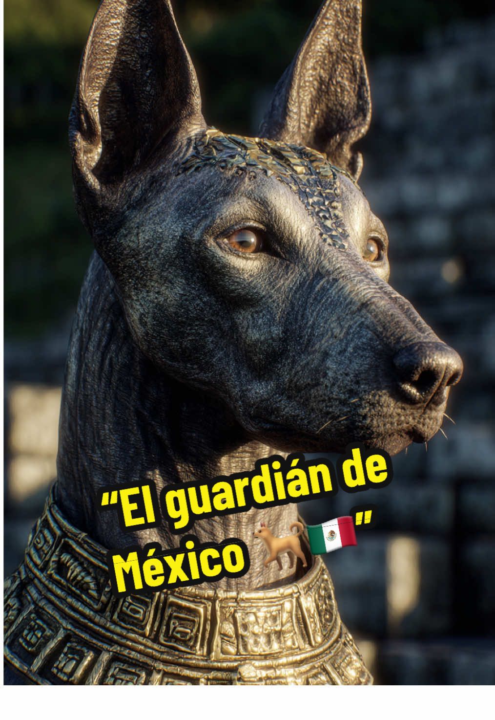 “El guardián de México 🐕🇲🇽” #orgullomexicano #mexico #xoloitzcuintle #historiademexico #fyp 