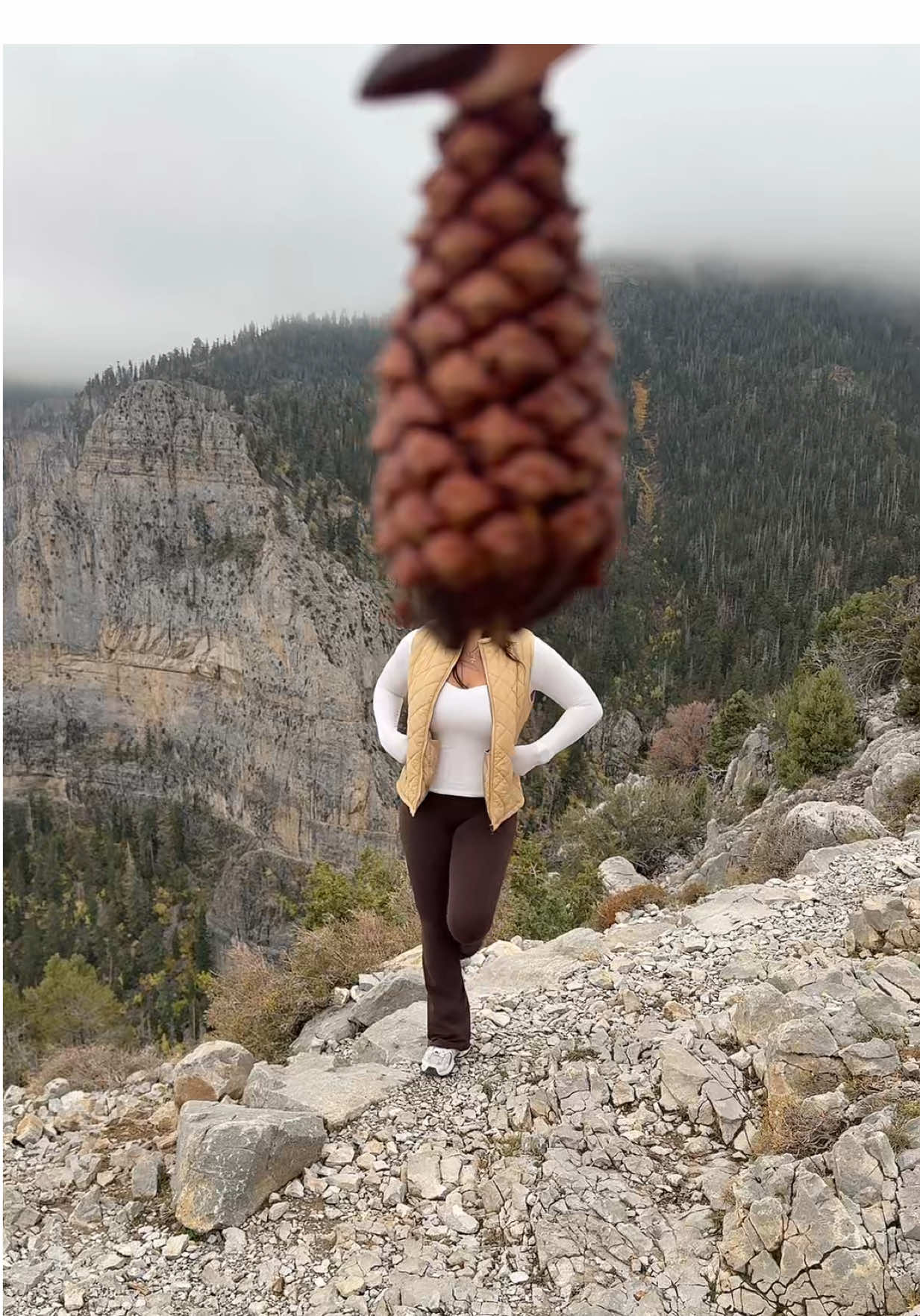 3 mile hike up to the mountain for this video😗 #Hiking #cathedralrock #mountcharleston #fallaesthetic #fallvibes 