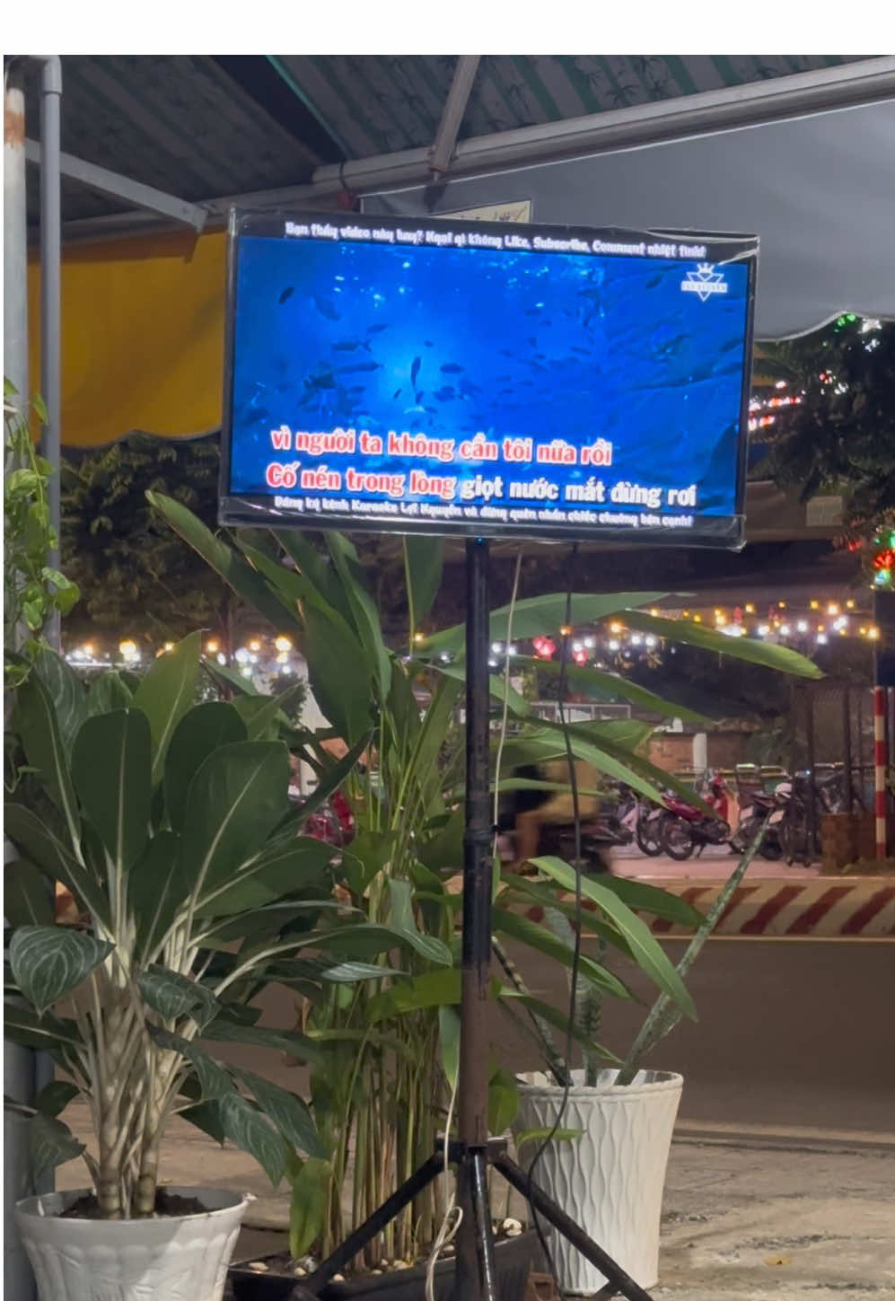 #lamchankhang #xuhuong 