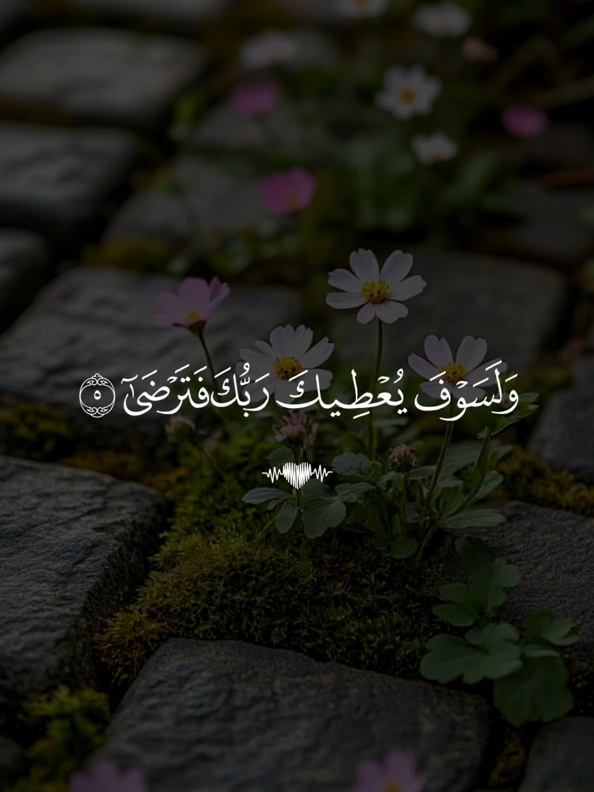 🕳️ تلاوة خاشعة بصوت القارئ ماهر المعقلي من سورة الضحى #تلاوة_خاشعة #قران #quran #fyp #foruyou