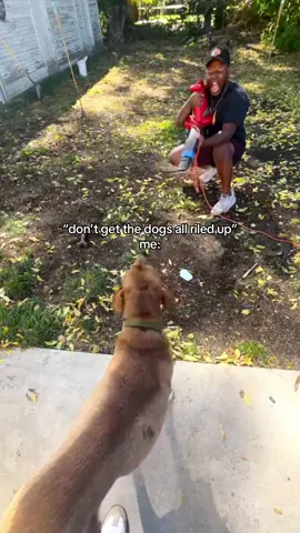 doing chores #dogdad #dogsoftiktok 