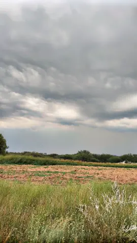 #🌹🌹❤️❤️🥰🥰💌😍💌🥰🥰❤️🌹🌹🌹❤️❤️🥰🥰❤️ 